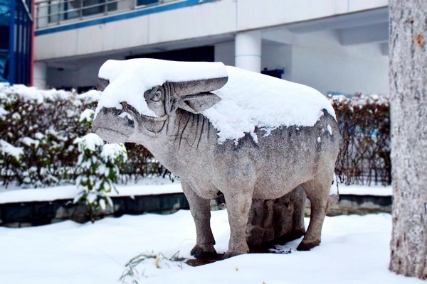 顶风冒雪苦坚守，俯首甘为孺子牛.jpg